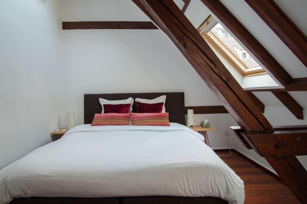 L'Or - Typical Alsacian Apartment In Strasburgo Esterno foto