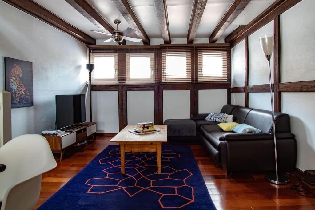 L'Or - Typical Alsacian Apartment In Strasburgo Esterno foto